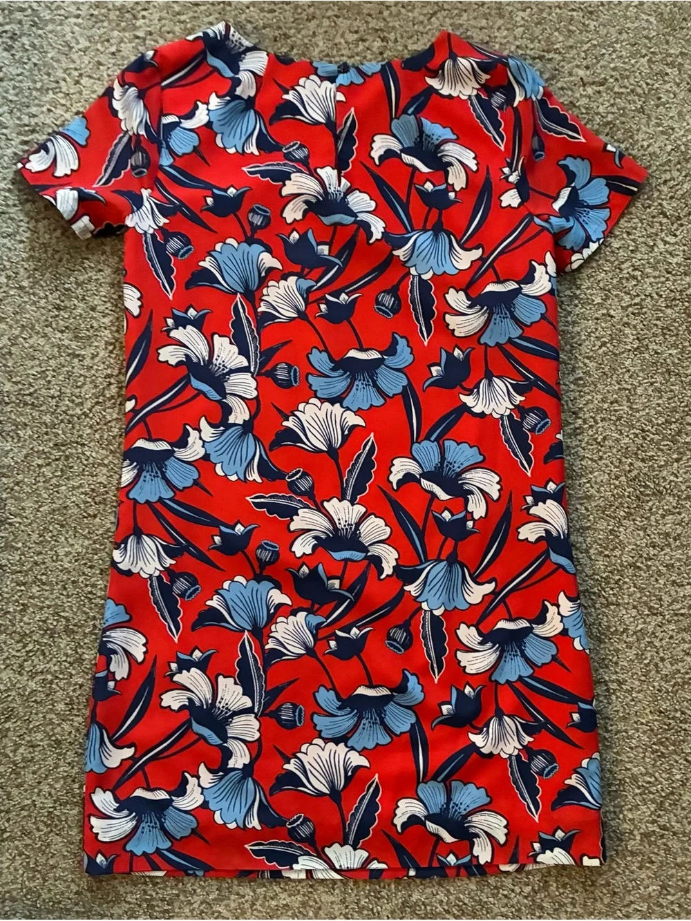 J.Crew Red & Blue Floral Print Gallery Shift Dress Size 00